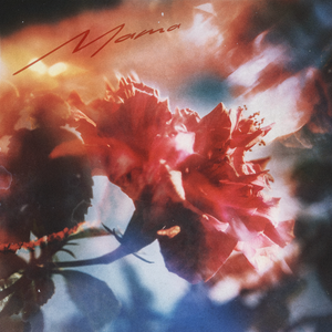 黄软件下载黄网站在线观看
