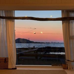 黄软件下载黄网站在线观看
