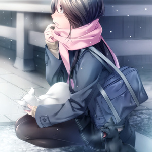 黄软件下载黄网站在线观看
